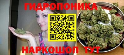 метадон Можга